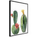 Wall Poster Cacti - composition of two blooming tropical plants on a white background 114305 additionalThumb 12