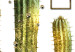 Canvas Print Tropical Plants (1 Part) Vertical 116305 additionalThumb 5