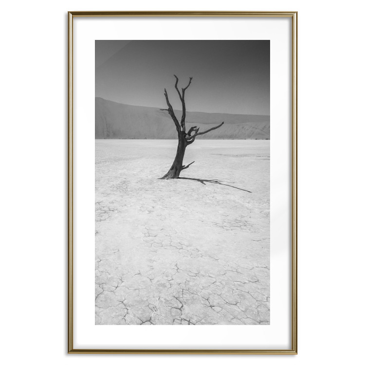 Poster Tree in the Desert - black and white landscape of leafless plant on sand 116505 additionalImage 19