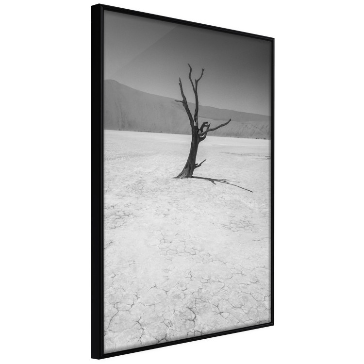 Poster Tree in the Desert - black and white landscape of leafless plant on sand 116505 additionalImage 12