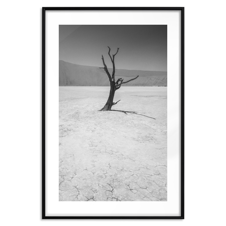 Poster Tree in the Desert - black and white landscape of leafless plant on sand 116505 additionalImage 15