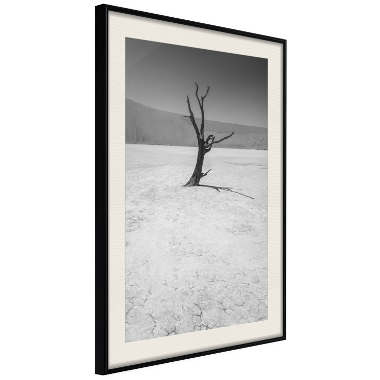 Poster Tree in the Desert - black and white landscape of leafless plant on sand 116505 additionalImage 3