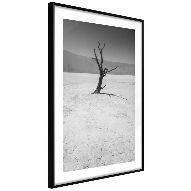 Poster Tree in the Desert - black and white landscape of leafless plant on sand 116505 additionalImage 11