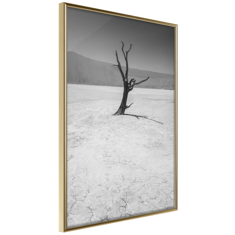 Poster Tree in the Desert - black and white landscape of leafless plant on sand 116505 additionalImage 14