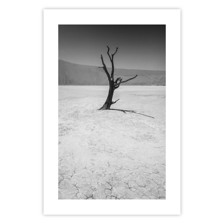 Poster Tree in the Desert - black and white landscape of leafless plant on sand 116505 additionalImage 25