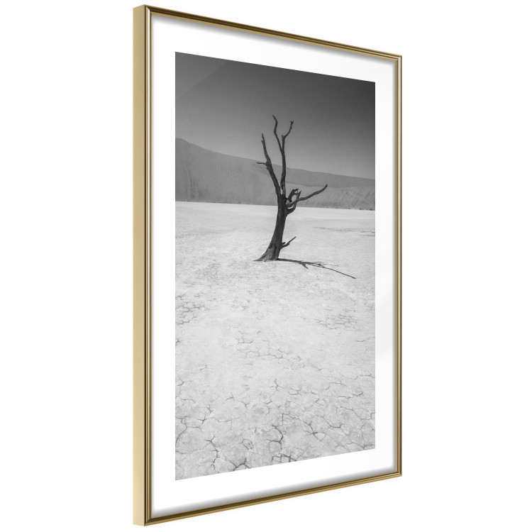 Poster Tree in the Desert - black and white landscape of leafless plant on sand 116505 additionalImage 6