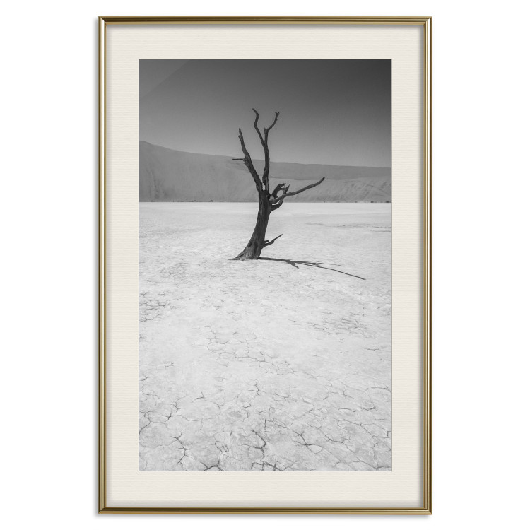 Poster Tree in the Desert - black and white landscape of leafless plant on sand 116505 additionalImage 21