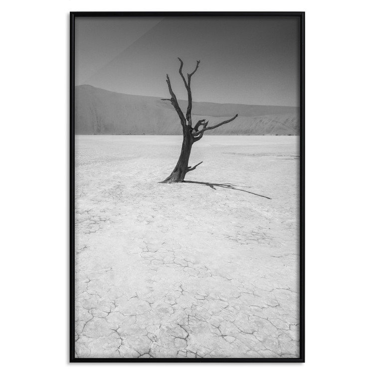 Poster Tree in the Desert - black and white landscape of leafless plant on sand 116505 additionalImage 20