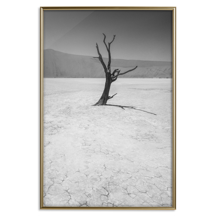 Poster Tree in the Desert - black and white landscape of leafless plant on sand 116505 additionalImage 26