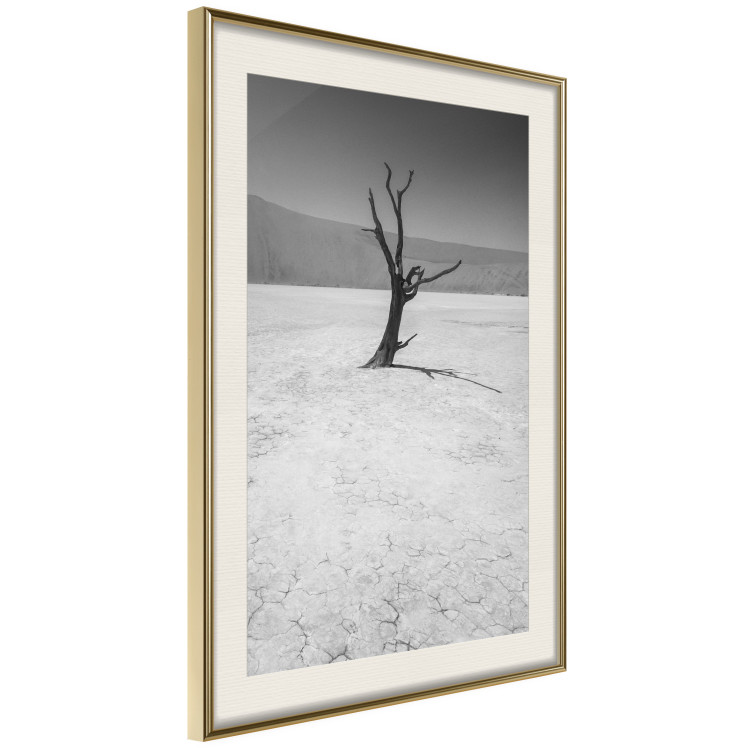 Poster Tree in the Desert - black and white landscape of leafless plant on sand 116505 additionalImage 2