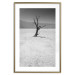 Poster Tree in the Desert - black and white landscape of leafless plant on sand 116505 additionalThumb 19