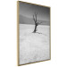 Poster Tree in the Desert - black and white landscape of leafless plant on sand 116505 additionalThumb 12