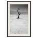Poster Tree in the Desert - black and white landscape of leafless plant on sand 116505 additionalThumb 18