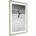 Poster Tree in the Desert - black and white landscape of leafless plant on sand 116505 additionalThumb 6