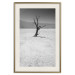Poster Tree in the Desert - black and white landscape of leafless plant on sand 116505 additionalThumb 21