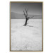 Poster Tree in the Desert - black and white landscape of leafless plant on sand 116505 additionalThumb 19