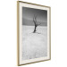 Poster Tree in the Desert - black and white landscape of leafless plant on sand 116505 additionalThumb 2