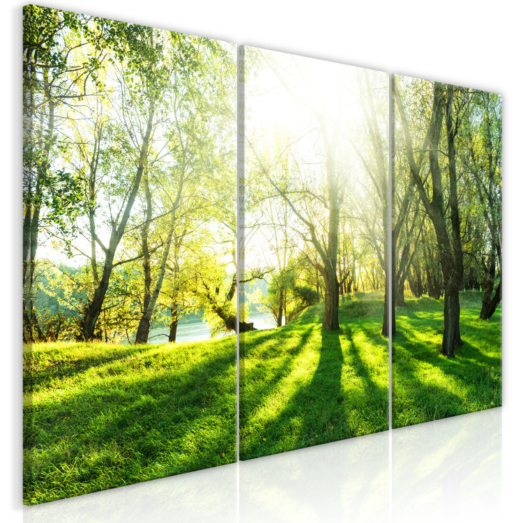 Canvas Art Print Green Glade (3 Parts) 122205 additionalImage 2