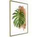 Poster Force of Nature - green leaf and wooden piece of bark on a white background 122605 additionalThumb 12
