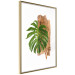 Poster Force of Nature - green leaf and wooden piece of bark on a white background 122605 additionalThumb 6