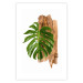 Poster Force of Nature - green leaf and wooden piece of bark on a white background 122605 additionalThumb 19