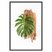 Poster Force of Nature - green leaf and wooden piece of bark on a white background 122605 additionalThumb 15