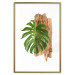 Poster Force of Nature - green leaf and wooden piece of bark on a white background 122605 additionalThumb 14