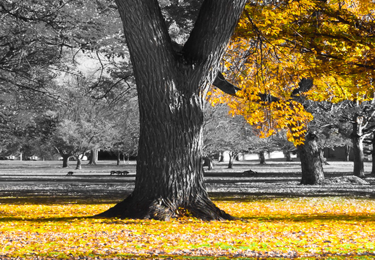 Large canvas print Autumn in the Park (Gold) II [Large Format] 125605 additionalImage 3