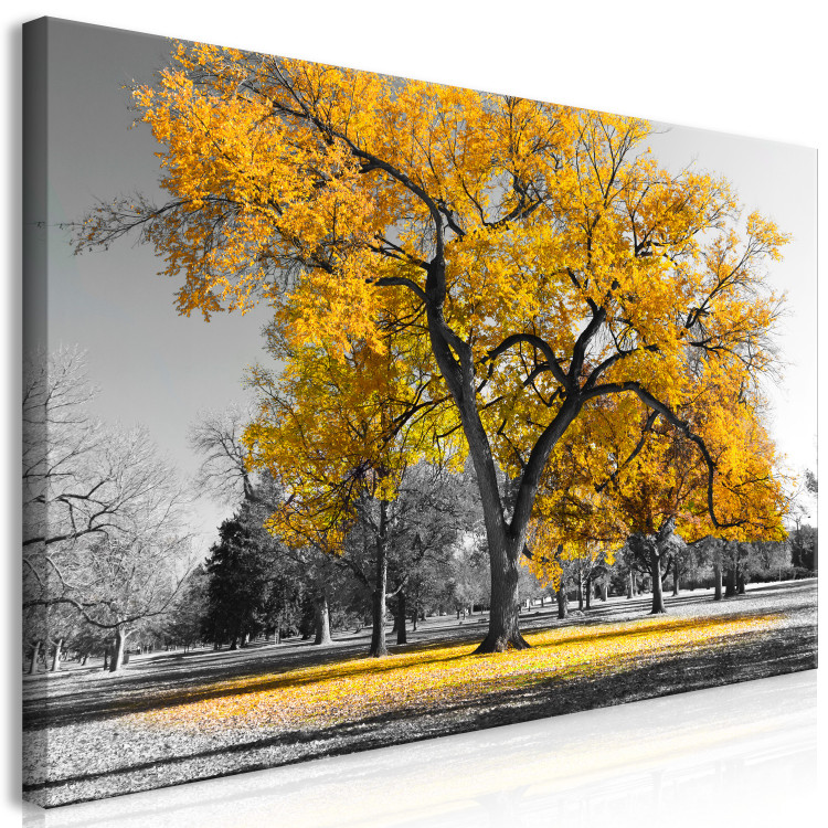 Large canvas print Autumn in the Park (Gold) II [Large Format] 125605 additionalImage 2