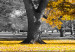 Large canvas print Autumn in the Park (Gold) II [Large Format] 125605 additionalThumb 3