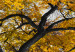Large canvas print Autumn in the Park (Gold) II [Large Format] 125605 additionalThumb 4