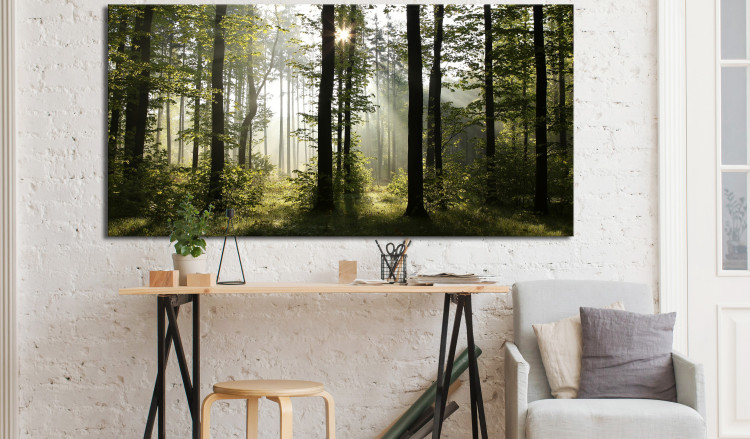 Large canvas print Forest: Beautiful Morning II [Large Format] 128905 additionalImage 5