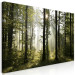 Large canvas print Forest: Beautiful Morning II [Large Format] 128905 additionalThumb 2