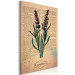 Canvas Lavender Memory (1-part) vertical - lavender in vintage style 129405 additionalThumb 2