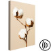 Canvas Print Soft Saturation (1-piece) Vertical - white flower in boho style 130505 additionalThumb 6