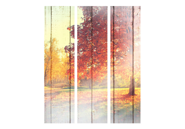 Folding Screen Autumn Sun (3-piece) - warm landscape among trees 132805 additionalImage 3