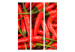 Room Divider Screen Chili Pepper - Background (3-piece) - pattern in fiery red vegetables 133305 additionalThumb 3