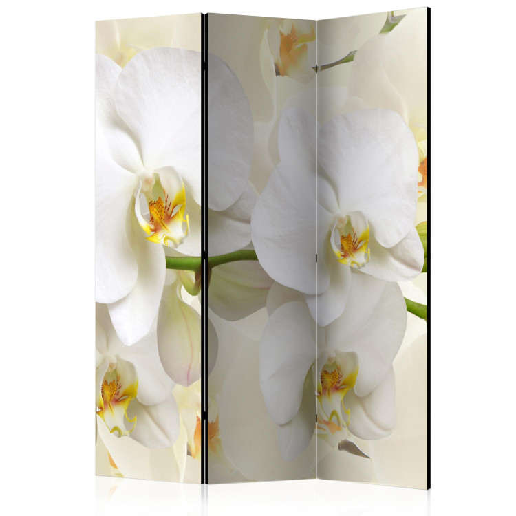 Folding Screen Orchid Branch - white lily flowers on a bright composition background 133805