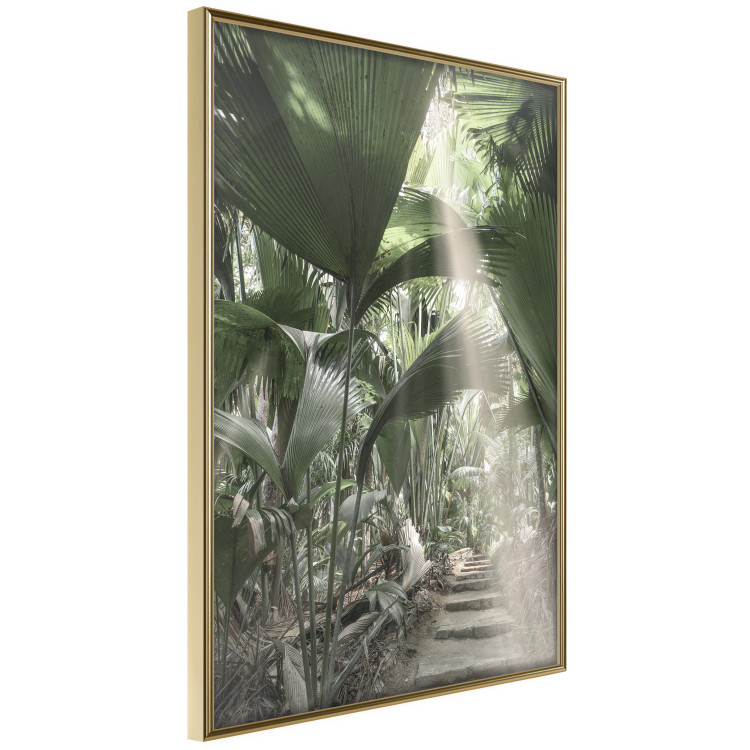 Poster Beam of Light - tropical composition of green jungle in sunlight 135305 additionalImage 16