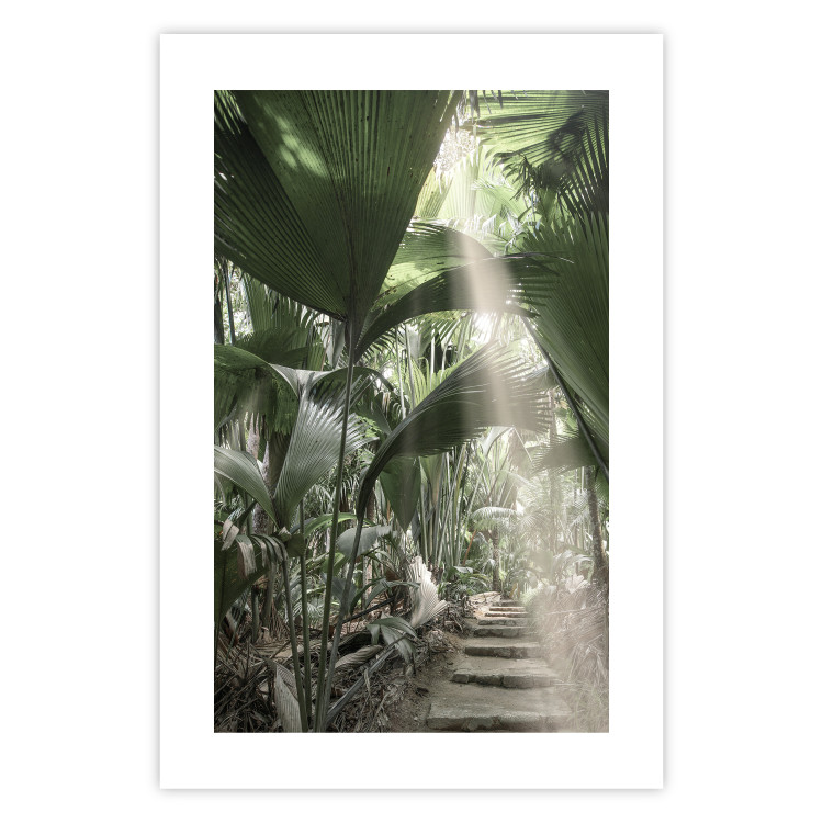 Poster Beam of Light - tropical composition of green jungle in sunlight 135305 additionalImage 5