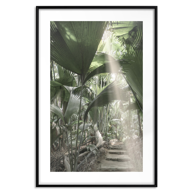Poster Beam of Light - tropical composition of green jungle in sunlight 135305 additionalImage 3