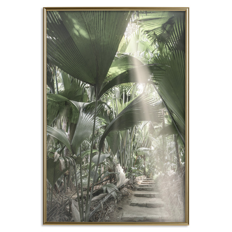 Poster Beam of Light - tropical composition of green jungle in sunlight 135305 additionalImage 4