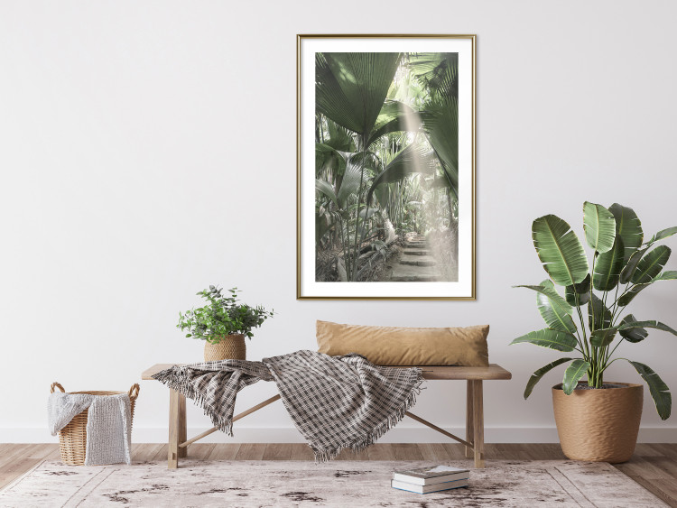 Poster Beam of Light - tropical composition of green jungle in sunlight 135305 additionalImage 8