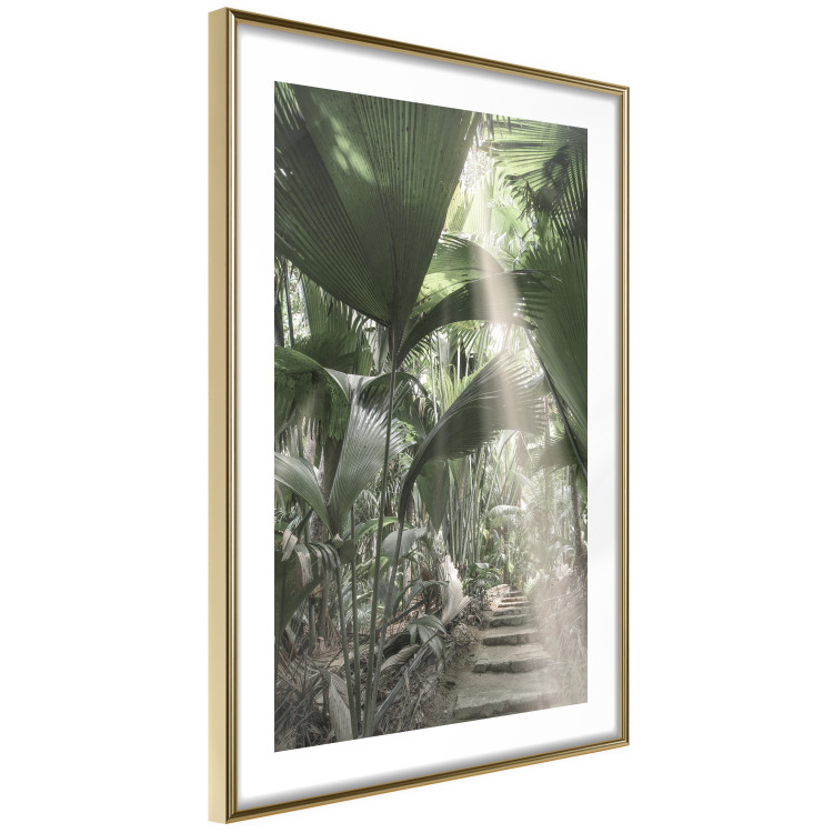 Poster Beam of Light - tropical composition of green jungle in sunlight 135305 additionalImage 14