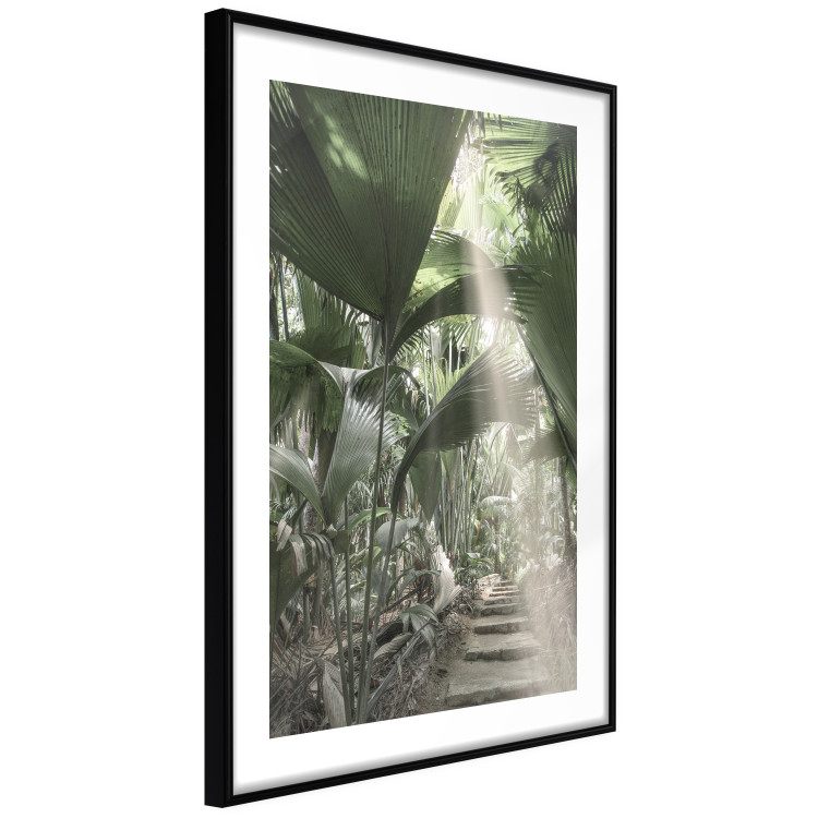 Poster Beam of Light - tropical composition of green jungle in sunlight 135305 additionalImage 15