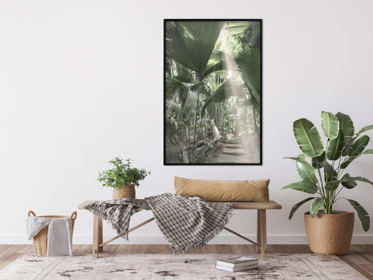 Poster Beam of Light - tropical composition of green jungle in sunlight 135305 additionalImage 10