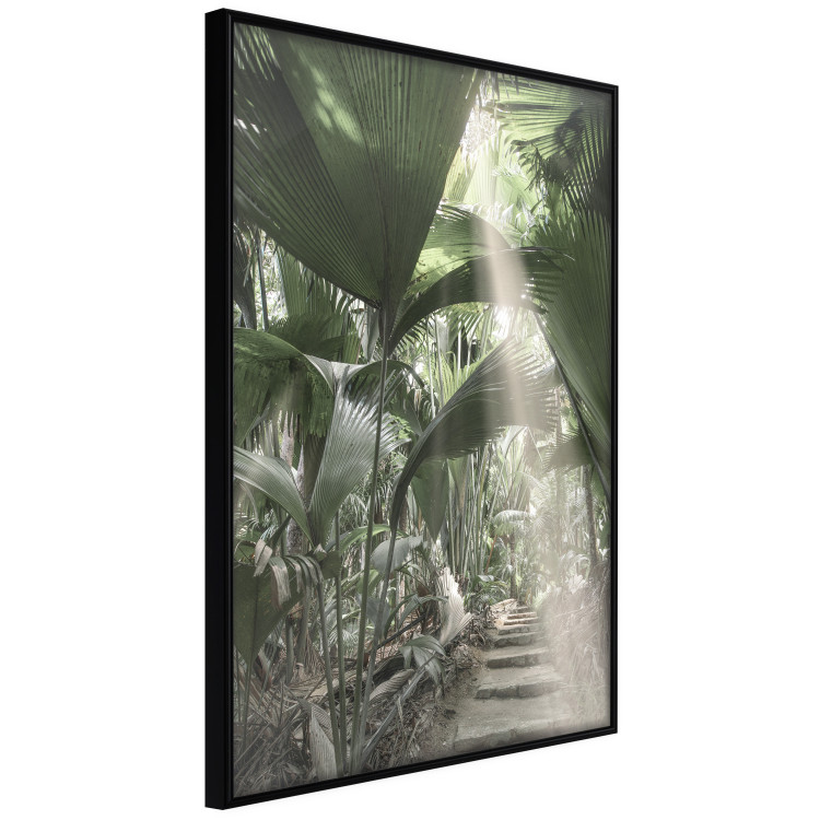 Poster Beam of Light - tropical composition of green jungle in sunlight 135305 additionalImage 17