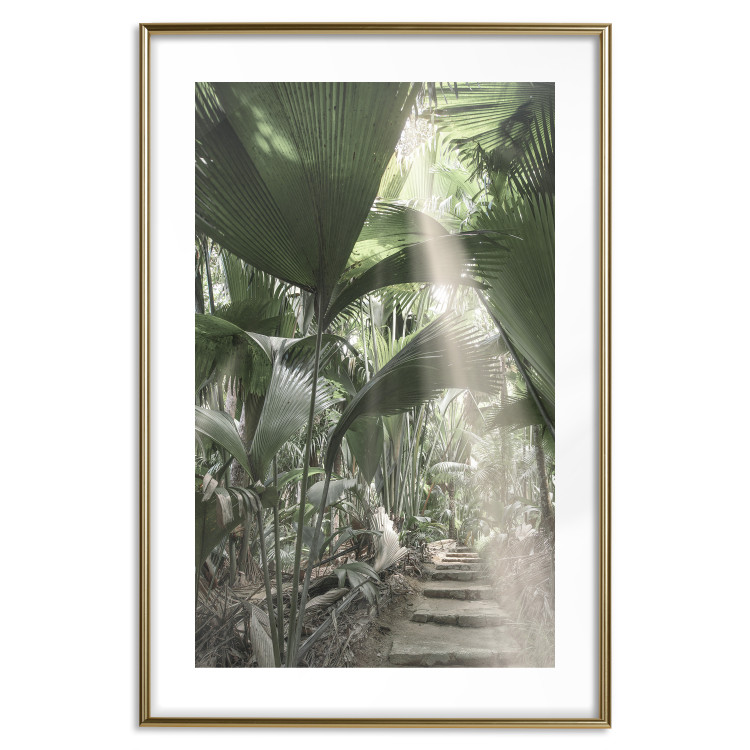 Poster Beam of Light - tropical composition of green jungle in sunlight 135305 additionalImage 2