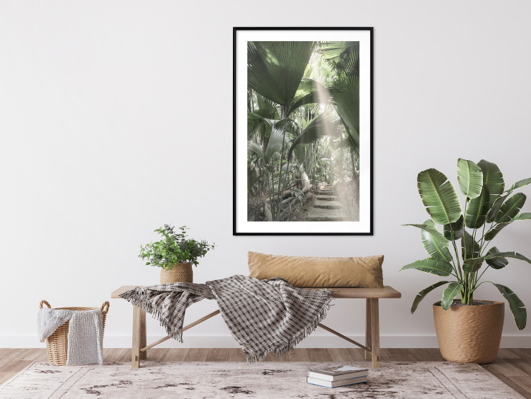Poster Beam of Light - tropical composition of green jungle in sunlight 135305 additionalImage 9