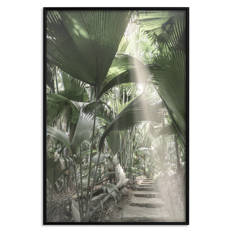 Poster Beam of Light - tropical composition of green jungle in sunlight 135305 additionalImage 6